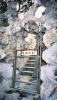 023 - Beijing - Forbidden City Imperial Garden.jpg