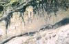 045 - Yangzi - Stalactites in the rocks.jpg