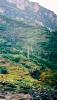 052 - Yangzi - Wuxia Gorge.jpg