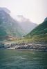 053 - Yangzi - Wuxia Gorge.jpg