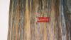 082 - Beijing - The Summer Palace - Signs on the trees showing how old they are.jpg