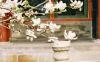 084 - Beijing - The Summer Palace.jpg