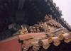 1 -  Roof at the forbidden city.jpg