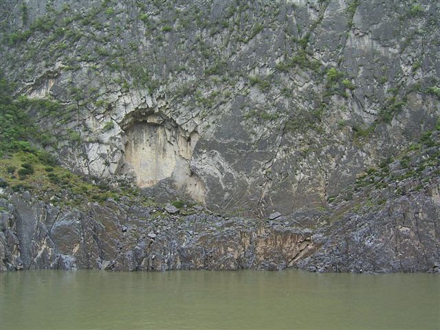 35 - Dragon or Lion.jpg